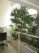 150m² Office in Milan, Italy No. 248221 - Image 3