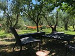 3 bedrooms House in Terricciola, Italy No. 399 - Image 4