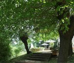 7 bedrooms Villa in Sinalunga, Italy No. 495 - Image 11