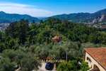 4 bedrooms Villa in Camaiore, Italy No. 505 - Image 6