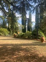 17 rooms Villa in Greve in Chianti, Italy No. 51261 - Image 17