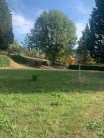 17 rooms Villa in Greve in Chianti, Italy No. 51261 - Image 18