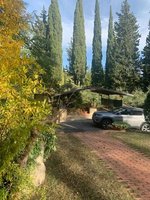 17 rooms Villa in Greve in Chianti, Italy No. 51261 - Image 34