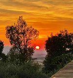 4 bedrooms House in Volterra, Italy No. 61384 - Image 5