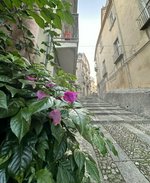 2 bedrooms Townhouse in Novara di Sicilia, Italy No. 68972 - Image 5