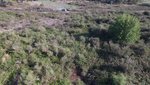 16500m² Land in Lipari, Italy No. 69020 - Image 2