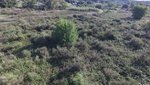 16500m² Land in Lipari, Italy No. 69020 - Image 3