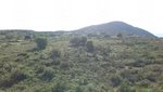 16500m² Land in Lipari, Italy No. 69020 - Image 5