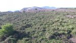 16500m² Land in Lipari, Italy No. 69020 - Image 6