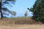 16500m² Land in Lipari, Italy No. 69020 - Image 18