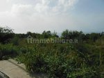 1000m² Land in Drapia, Italy No. 78474 - Image 3