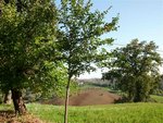 4 bedrooms House in Castelleone di Suasa, Italy No. 83309 - Image 10