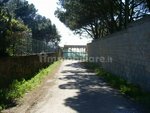 3980m² Land in Gizzeria, Italy No. 8940 - Image 2
