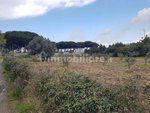 3980m² Land in Gizzeria, Italy No. 8940 - Image 3