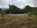 3980m² Land in Gizzeria, Italy No. 8940 - Image 4