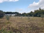 3980m² Land in Gizzeria, Italy No. 8940 - Image 5