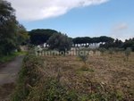 3980m² Land in Gizzeria, Italy No. 8940 - Image 6