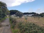 3980m² Land in Gizzeria, Italy No. 8940 - Image 7
