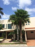 4 bedrooms House in Mexico No. 158846 - Image 2