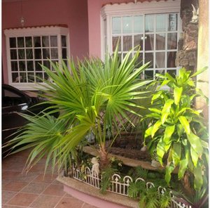 3 bedrooms House in Veracruz, Mexico No. 224347