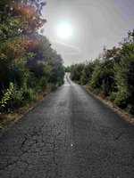 8106m² Hotel in Danilovgrad, Montenegro No. 266 - Image 3