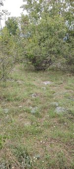 8106m² Hotel in Danilovgrad, Montenegro No. 266 - Image 6