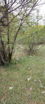 8106m² Hotel in Danilovgrad, Montenegro No. 266 - Image 8