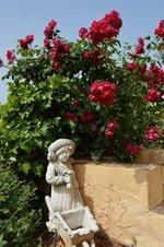 6 bedrooms Villa in Silves, Portugal No. 129259 - Image 31