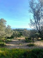 Land in Faro, Portugal No. 157236 - Image 4