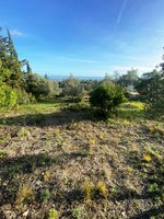 Land in Faro, Portugal No. 157236 - Image 5