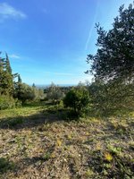 Land in Faro, Portugal No. 157236 - Image 6