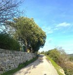 Land in Faro, Portugal No. 157236 - Image 9