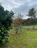 5 bedrooms House in Barbeita, Portugal No. 162636 - Image 47