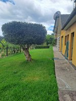 3 bedrooms House in Arcos de Valdevez, Portugal No. 167593 - Image 3