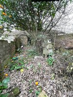 2 bedrooms House in Viana do Alentejo, Portugal No. 16923 - Image 3