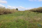27720m² Land in Torres Vedras, Portugal No. 173145 - Image 4