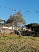 4 bedrooms House in Viana do Castelo, Portugal No. 175976 - Image 20