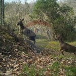 7 bedrooms House in Macedo de Cavaleiros, Portugal No. 180775 - Image 24