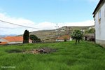 5 bedrooms House in Ervedosa do Douro, Portugal No. 182086 - Image 41