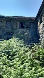 1 bedroom House in Fiaes, Portugal No. 183104 - Image 9