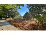 4906m² Land in Sintra, Portugal No. 184172 - Image 11