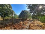 4906m² Land in Sintra, Portugal No. 184172 - Image 26