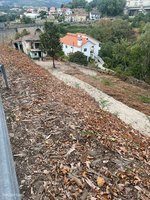 3 bedrooms House in Vila Real, Portugal No. 184326 - Image 9