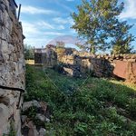 2 bedrooms House in Pinhel, Portugal No. 184365 - Image 8