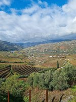 3 bedrooms House in Resende, Portugal No. 186625 - Image 10