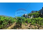 3 bedrooms House in Peso da Regua, Portugal No. 188189 - Image 22
