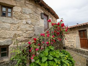 2 bedrooms House in Silgueiros, Portugal No. 188583