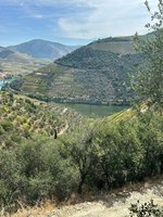 6 bedrooms House in Sabrosa, Portugal No. 189232 - Image 10