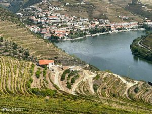 9 bedrooms House in Sabrosa, Portugal No. 189243