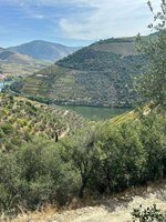 6 bedrooms House in Pinhao, Portugal No. 189248 - Image 8